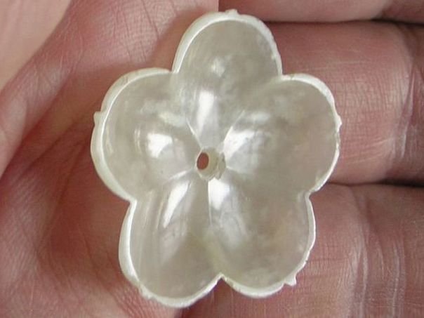 Flower 623 - (4133)